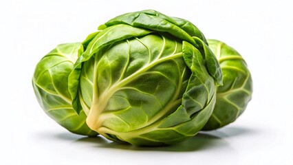 Obraz premium Minimalist Brussels Sprouts Photography: Single Sprout on White Background