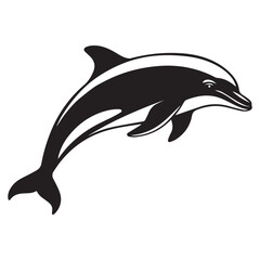 dolphin isolated on white background