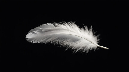 Single white feather on black background evokes serenity and lightness delicate and calming studio shot