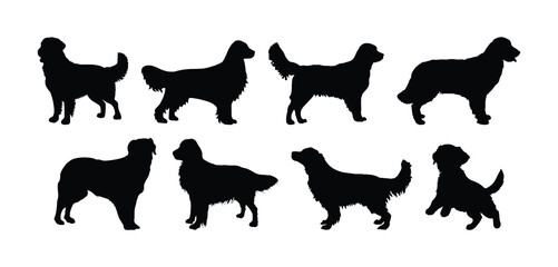 golden retriever dog silhouette