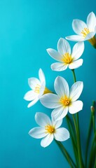 Bright white flowers blooming against vibrant blue backdrop, garden, fresh, spring