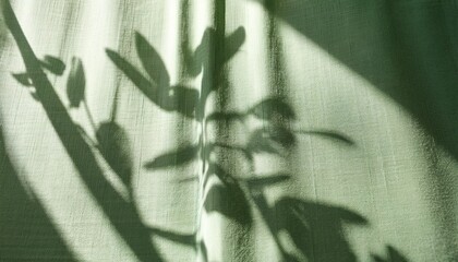abstract foliage sunlight shadow silhouette on sage green linen curtain elegant sustainable background for eco business branding identity
