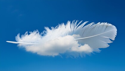 a cloud in the form of a feather or a wing against a blue sky