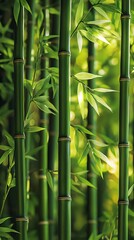Naklejka premium Lush Green Bamboo Forest with Natural Scenery and Peaceful Atmosphere