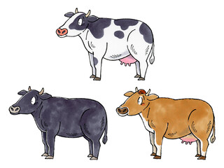 牛セット(乳牛、黒牛、ジャージー牛)