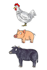 食肉セット(鶏、豚、牛)