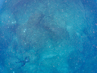 美しいアカヒメジ、ホウライヒメジ（ヒメジ科）他の群れ。
英名学名：Yellowfin goatfish (Mulloidichthys vanicolensis)
Whitesaddle goatfish, Parupeneus ciliatus
東京都伊豆諸島式根島-2024
