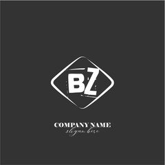 vector BZ illustration of a logo for a company background abstract
