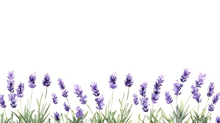 Naklejka premium Nature-inspired lavender flowers watercolor style serene environment floral beauty