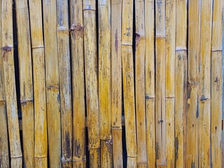 Bamboo fence