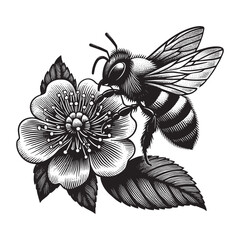 Fototapeta premium Detailed woodcut illustration depicting a bee collecting pollen