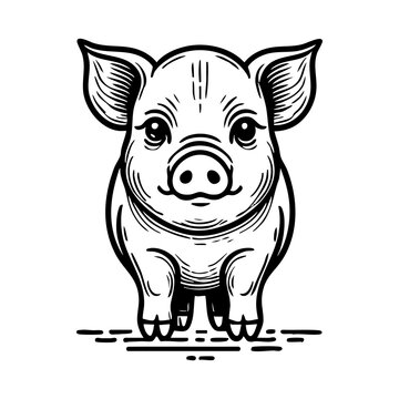 recommend clip art: Animal Line Art Illustration of Pig