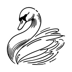 Fototapeta premium Animal Line Art Illustration of Swan