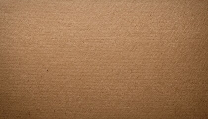 Fototapeta premium texture background craft paperboard