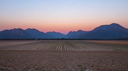Sunset over mountain range, farm field rows