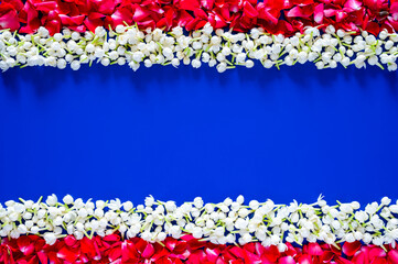Jasmine and red rose petals on empty blue background set as Thailand flag for Thailand songkran festival concept.