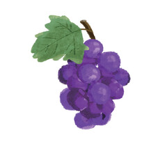 ぶどうのシンプルな手描きのカラーイラスト
