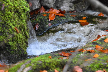 Wasserfall an einem Gebirgsbach 