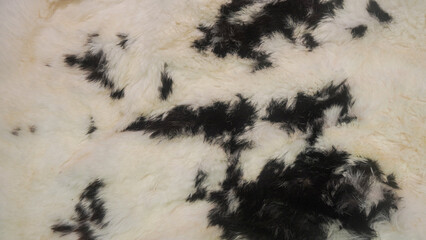 Close-up of a faux fur texture with black and white spots.