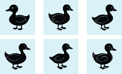 Fototapeta premium Duckling Silhouette vector
