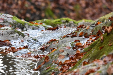 Wasserfall an einem Gebirgsbach 
