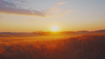 Obraz premium A tranquil sunset over a golden field, with soft clouds and distant hills, creating a serene and picturesque landscape.
