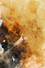 Natural pattern texture seashell, macro photo, beauty nature abstract background, top view vivid orange yellow surface of shell, clam closeup, oceanic, nautical, marine, aquatic life backdrop