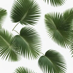 Tropical Palm Leaves on White Background