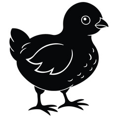 vector illustration of a baby chicken