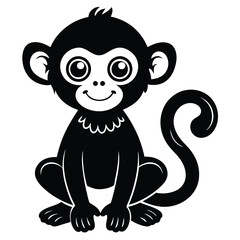 black and white monkey