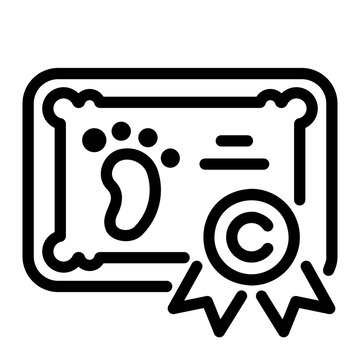 rth certificate Line Icon
