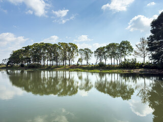 Tranquil Lakeside Landscape with Lush Trees and Reflections