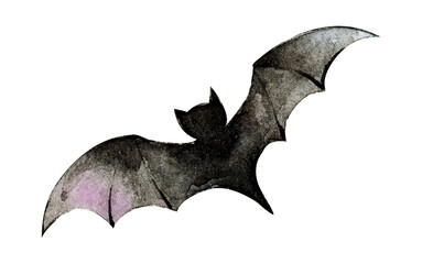 set of bat