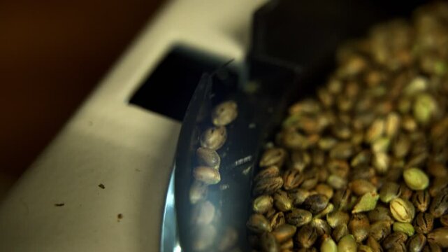 A Seed Counter Machine Counting Cannabis Seeds, Shute