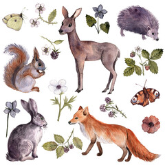 watercolor drawing forest animals, butterflies and flowers isolated at white background, hand drawn illustration