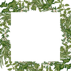 Watercolor frame with aromatic herbs: cilantro and rosemary, parsley, basil and thyme. Ideal for menus and packaging, logos and invitations, cookbooks and social media posts.
