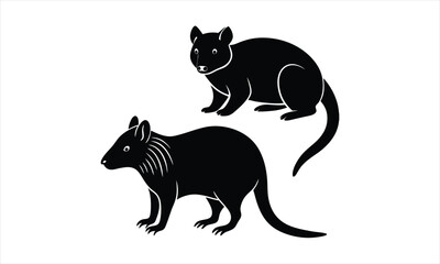Obraz premium Tasmanian Devils Black Silhouette Design