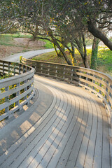 Curved Wooden Boardwalk Path in Park