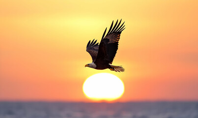 Obraz premium Majestic Eagle Soaring Against Stunning Sunset Over Tranquil Sea