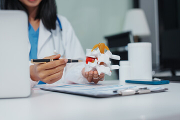 Asian female doctor uses a model of a lumbar disc to work with a computer, plans treatment,...