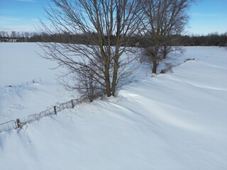 Aerial view of a hedge of trees in a snow-covered landscape - Vue aérienne d'une haie d'arbres dans un paysage enneigé