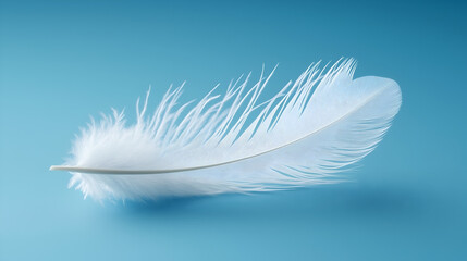 Fototapeta premium Floating Perfection The Delicate Details of a Feather Captured in 8K