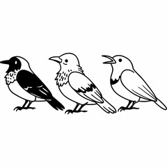 birds on a branch