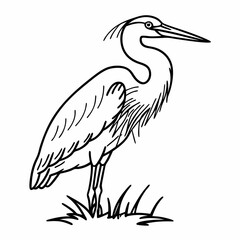 great blue heron
