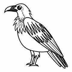 Obraz premium bird of prey