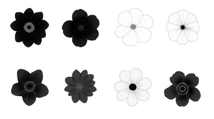 Black and white flower illustrations, design elements, isolated background, website graphics