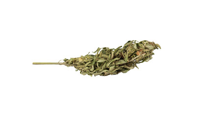 Medical cannabis bud isolated