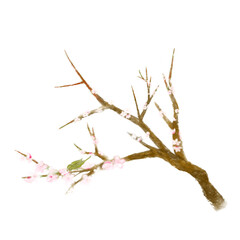 梅の花と鶯のおしゃれリアルな手書きイラスト