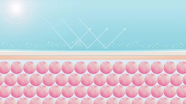 Skin cell with UV protection. Advertisements for cosmetics, sunscreen, Cream, serum. Ultraviolet shield reflect