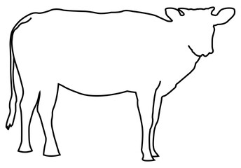 Black Outline Cows for Eid Adha